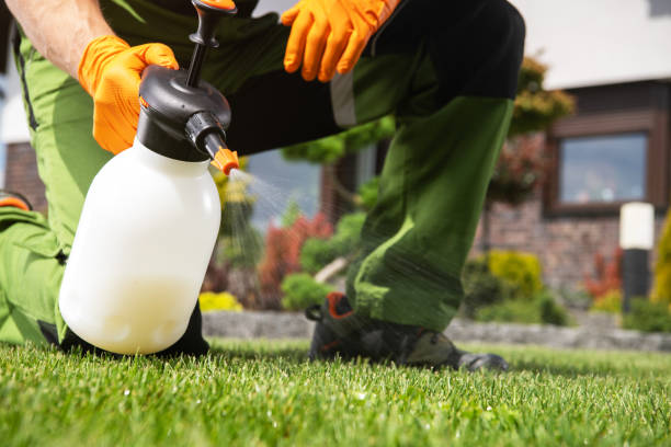 Best Pest Inspection Near Me  in Emma, NC