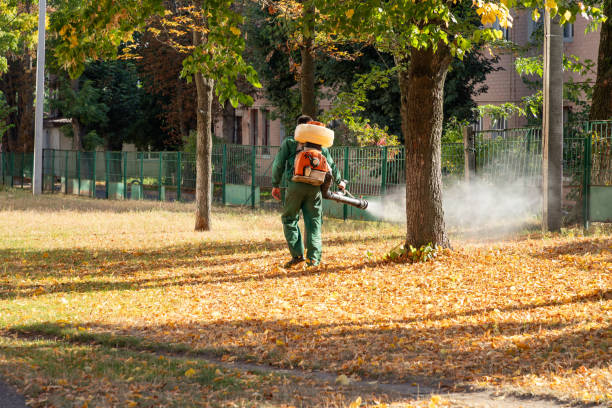 Best Emergency Pest Control  in Emma, NC