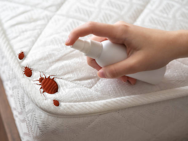 Best Bed Bug Extermination  in Emma, NC