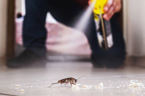 Best Commercial Pest Control Services  in Emma, NC